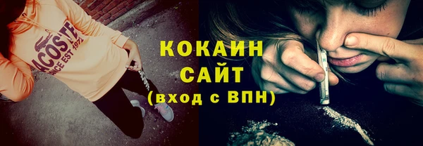 молекула духа Ельня
