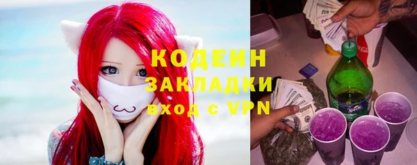 молекула духа Ельня