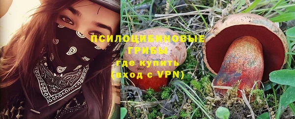 молекула духа Ельня