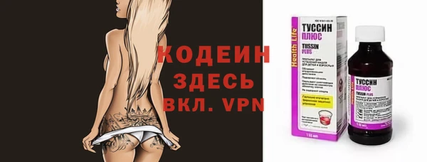 молекула духа Ельня