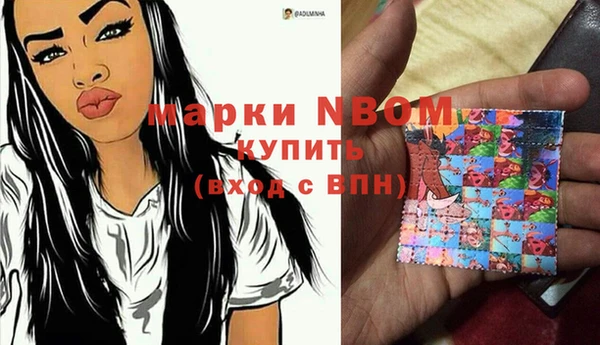 крисы Елизово