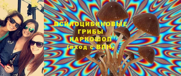 молекула духа Ельня