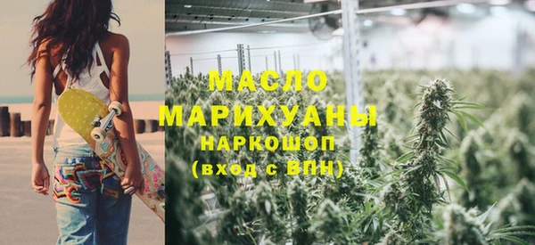 молекула духа Ельня