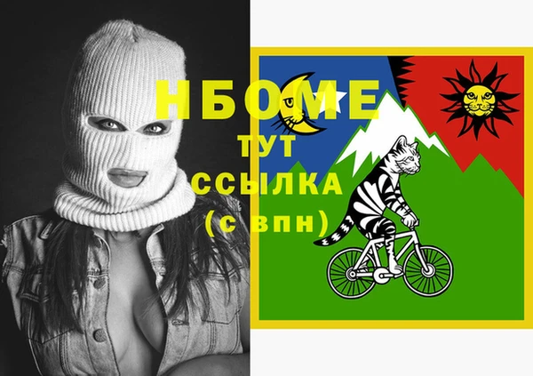 молекула духа Ельня