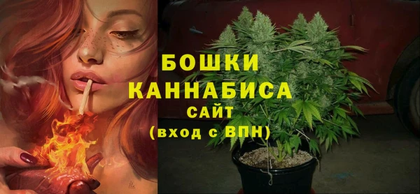 молекула духа Ельня