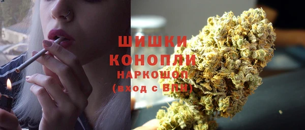 молекула духа Ельня