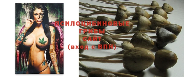 молекула духа Ельня